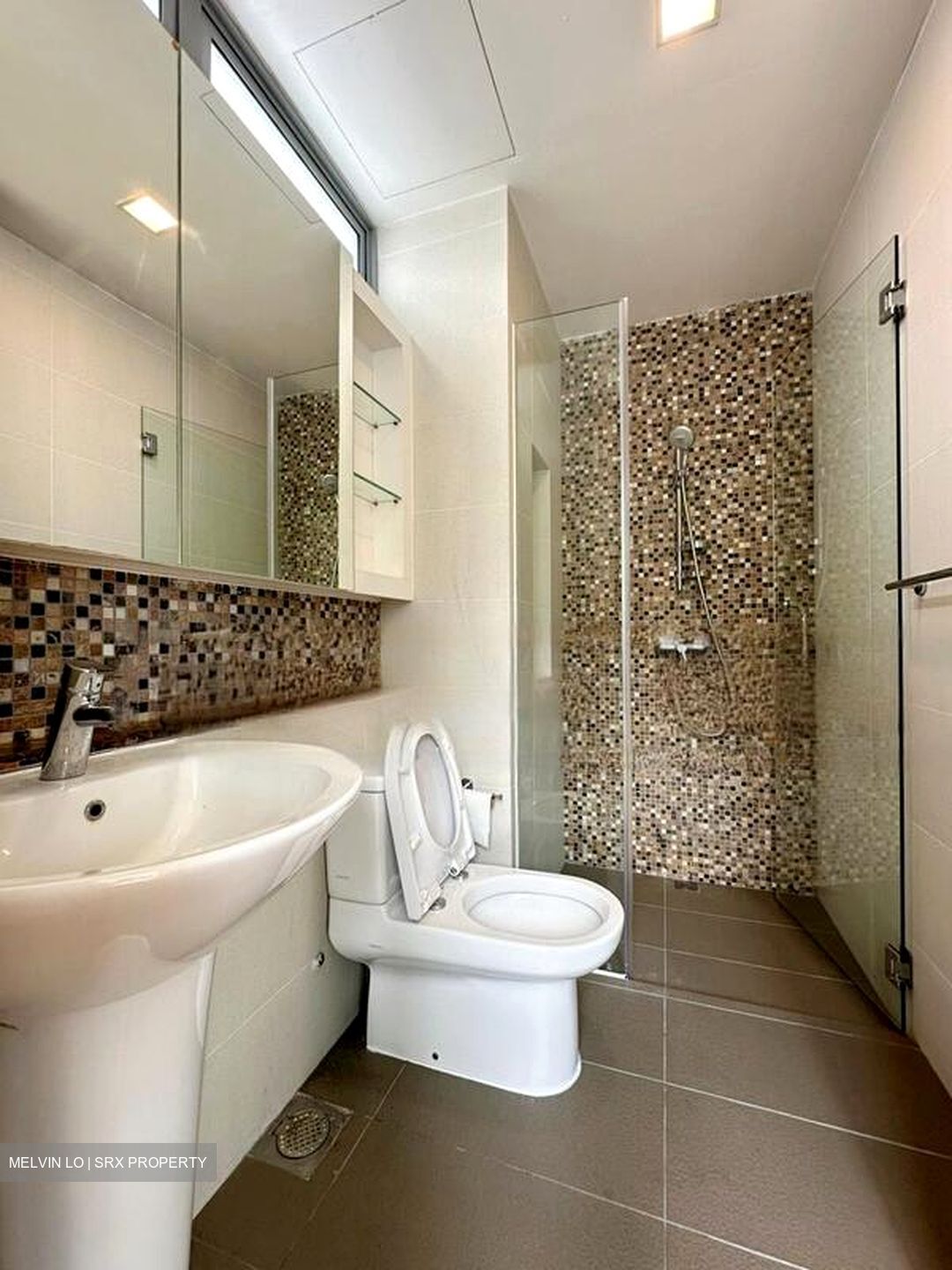 Radiance @ Bukit Timah (D21), Terrace #507439551